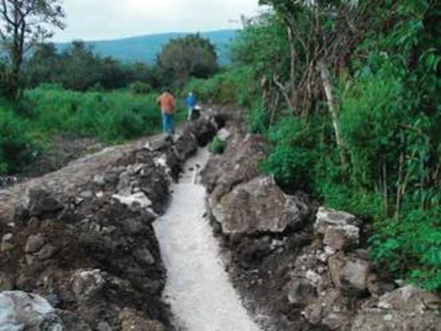 Zanja para línea de agua potable abierta entre vegetación